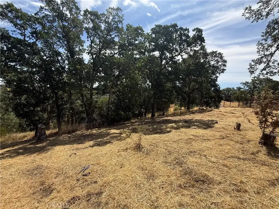 16318 Longhorn, Corning, CA 96021 - #3