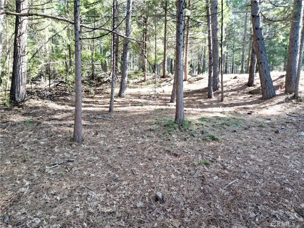 0 Skyway, Magalia, CA 95954 - #1