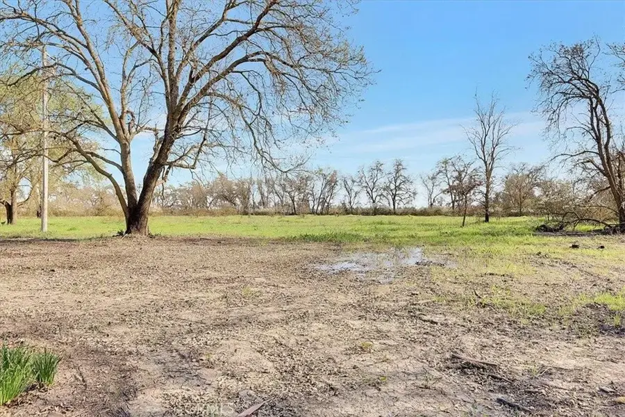 9631 Schroeder Road, Live Oak, CA 95953 - #3