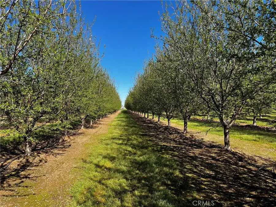 24186 Orangewood Road, Corning, CA 96021 - #2