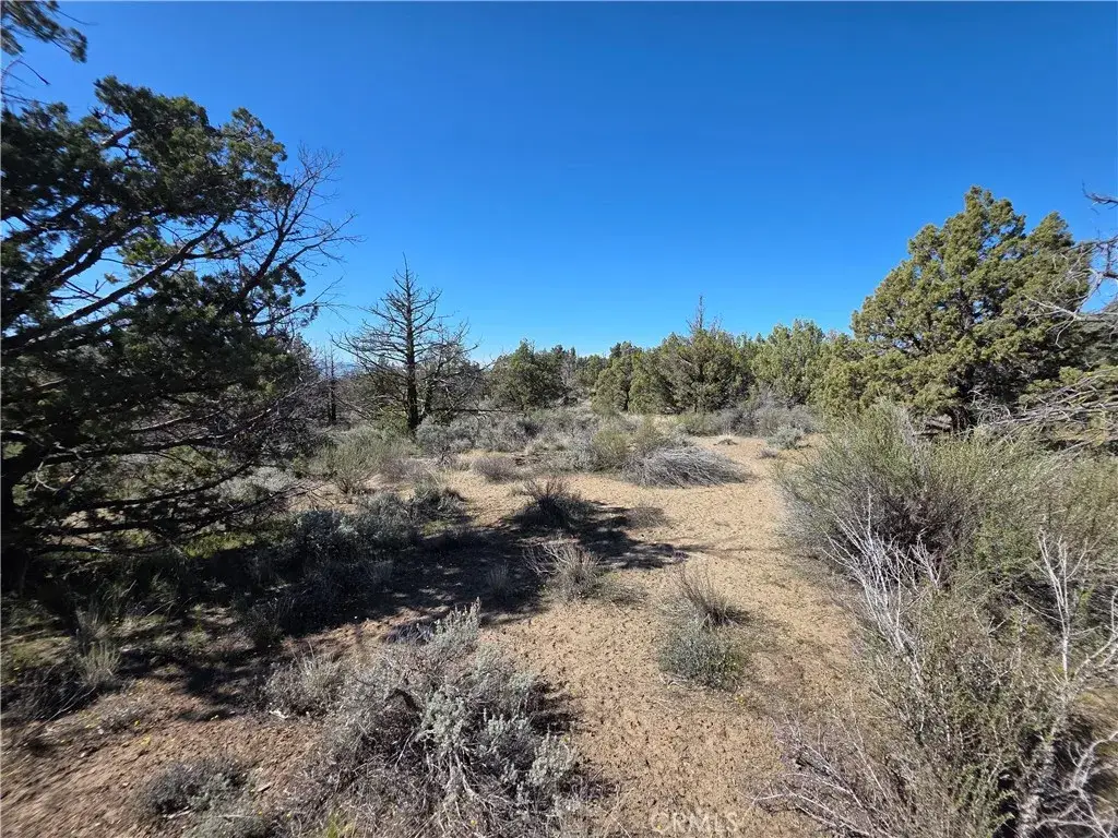 39 Blk 8 Lot 39 Katrina Dr, Montague, CA 96064 - #1