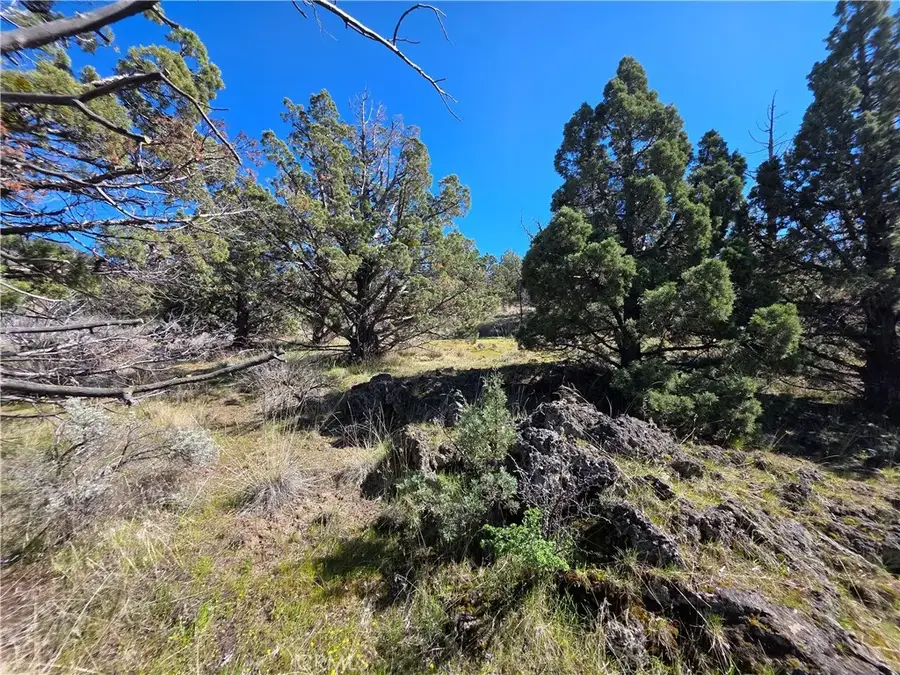 39 Blk 8 Lot 39 Katrina Dr, Montague, CA 96064 - #2