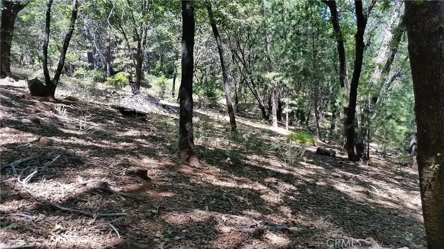 13424 Adrian, Magalia, CA 95954 - #2