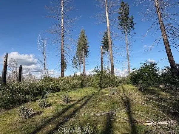 0 Bald Rock Road, Brush Creek, CA 95916