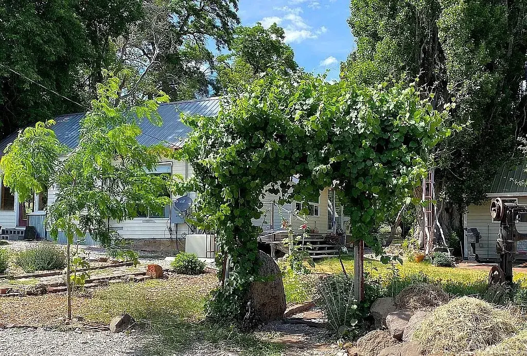 42528 County Road 1, Surprise Valley, CA 96115 - #1