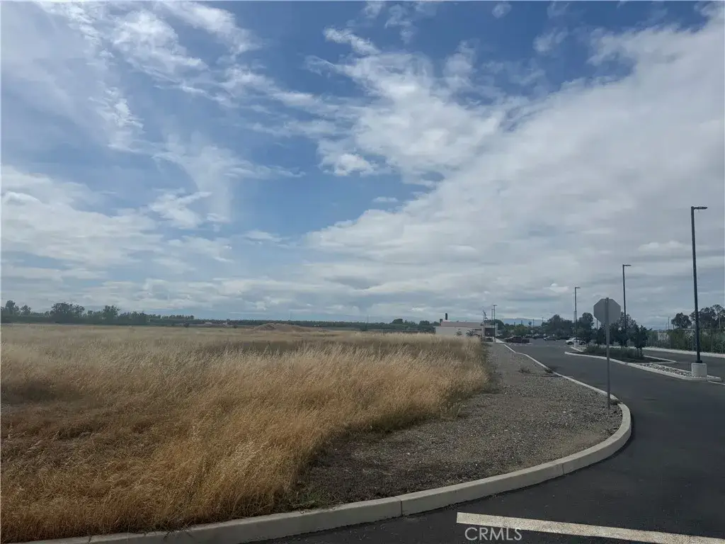 0 Cortina, Orland, CA 95963 - #1