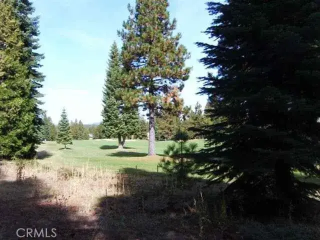 259 Dinsmore, Lake Almanor Peninsula, CA 96137 - #2