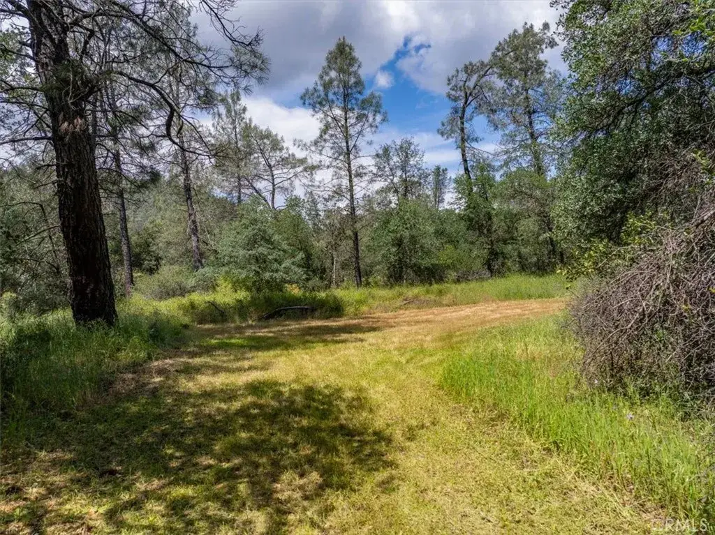 506 Black Canyon, Shasta Lake, CA 96019 - #1