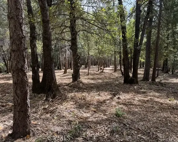 0 Platt Mountain, Forest Ranch, CA 95942