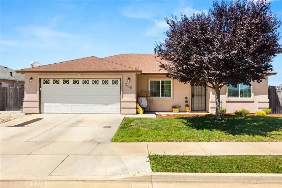 386 L, Biggs, CA 95917 - #3