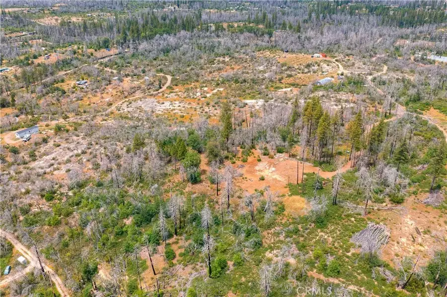 51 Horseshoe, Berry Creek, CA 95916 - #2
