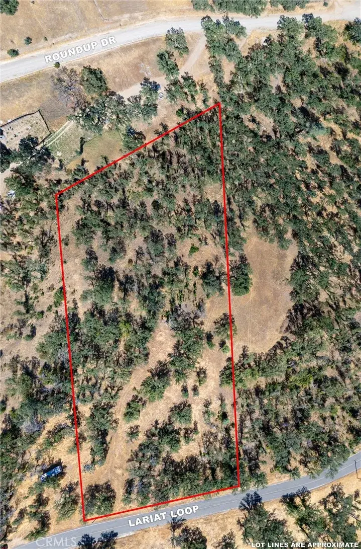 16398 Lariat, Corning, CA 96021 - #1