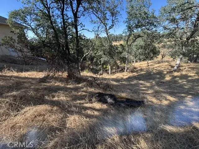 19932 Freshwater, Cottonwood, CA 96022 - #1