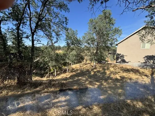 19932 Freshwater, Cottonwood, CA 96022 - #2