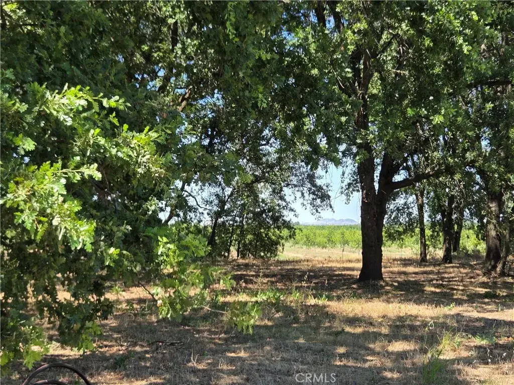 0 N. B Street, West Tehama, CA 96021 - #1