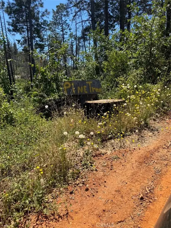 201 Pine Tree, Berry Creek, CA 95916