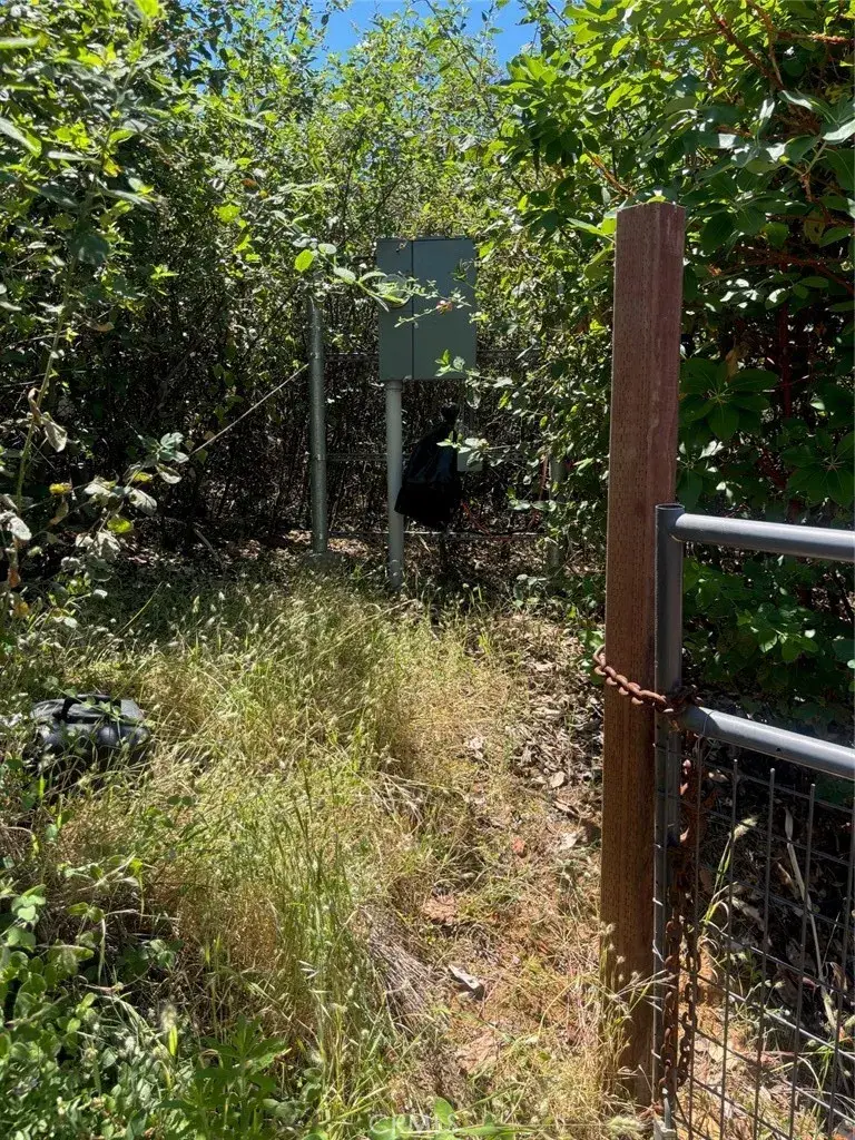31 Rip Van, Berry Creek, CA 95916 - #3