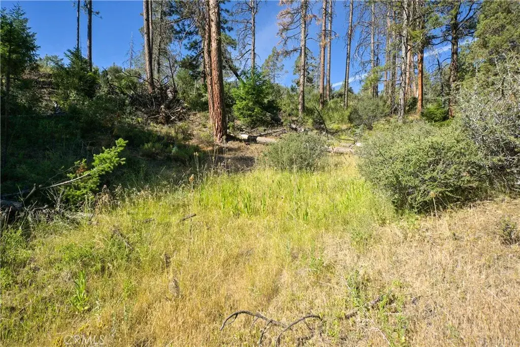 1 Duzel Creek Road, Fort Jones, CA 96032 - #1
