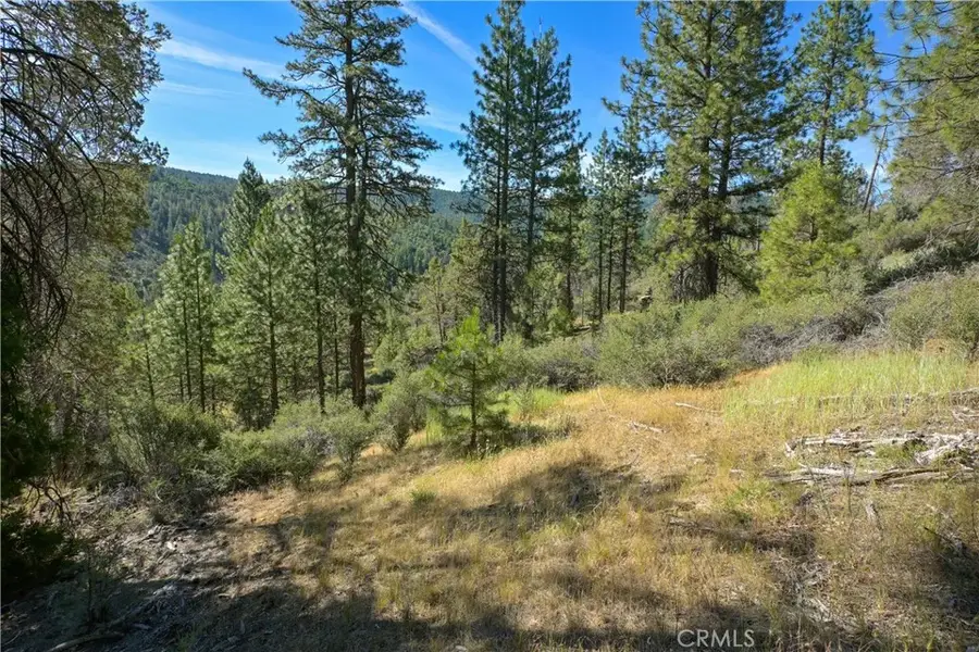 1 Duzel Creek Road, Fort Jones, CA 96032 - #2