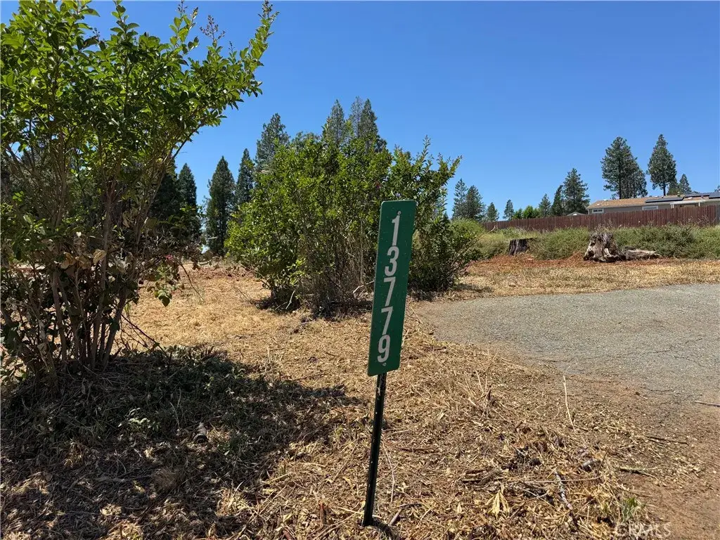 13779 S Park, Magalia, CA 95954 - #1