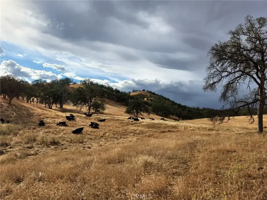 0 County Rd 200, Orland, CA 95963 - #3