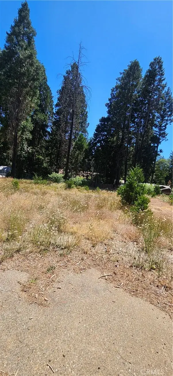 14214 Wingate, Magalia, CA 95954 - #3