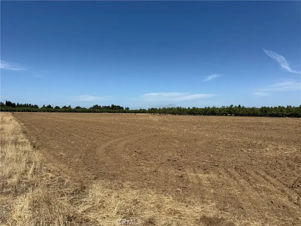 0 Jones, Durham, CA 95938 - #1