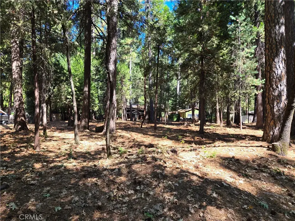 0 Tikker Ln, Magalia, CA 95954 - #1