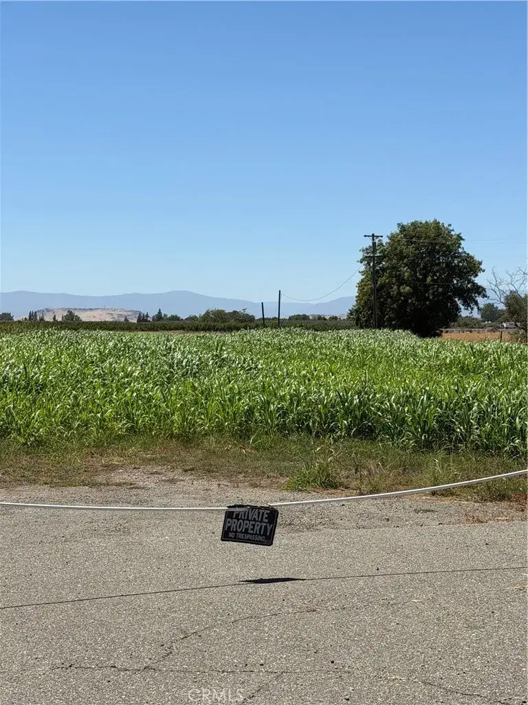 4275 County Road 99w, Orland, CA 95963 - #1