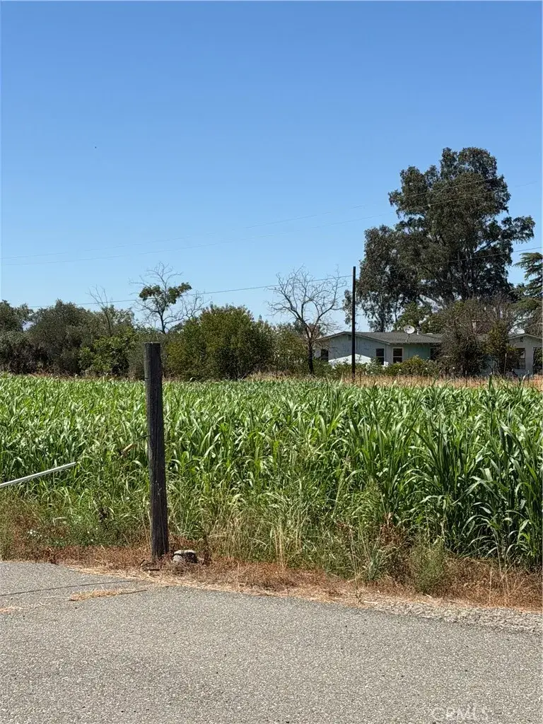 4275 County Road 99w, Orland, CA 95963 - #2