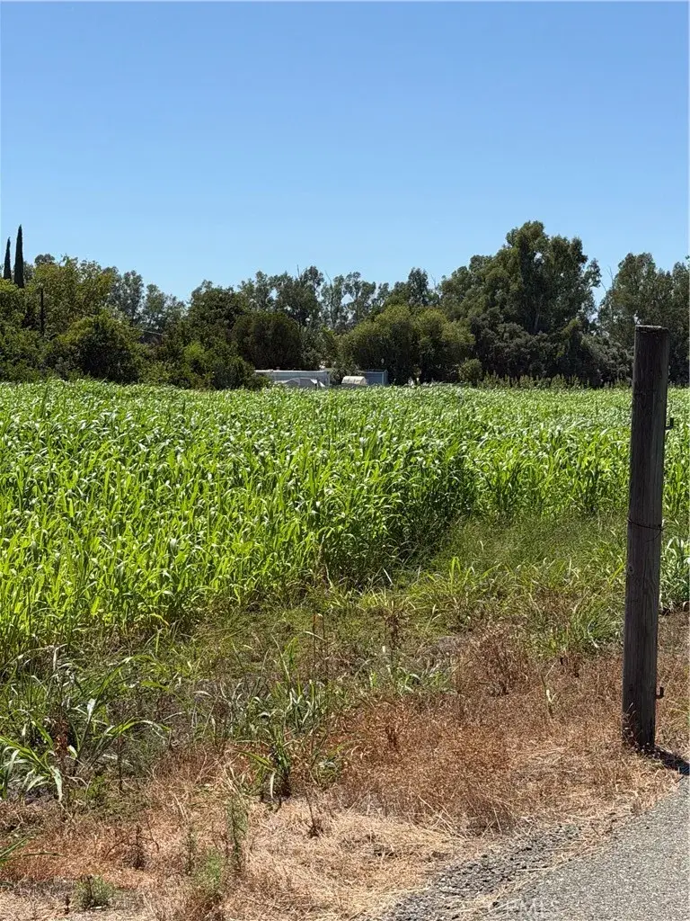 4275 County Road 99w, Orland, CA 95963 - #3
