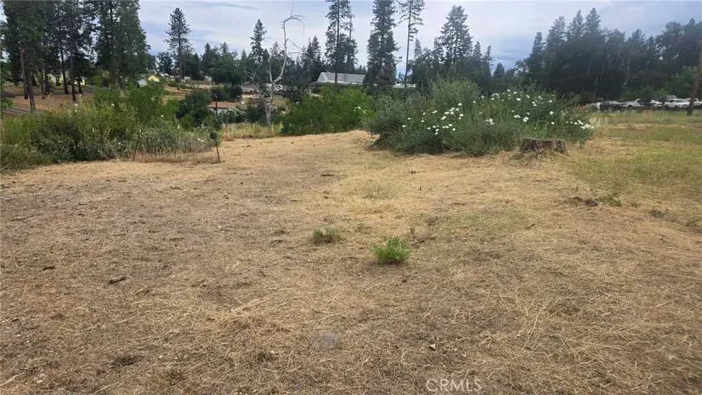 1025 Howard, Paradise, CA 95969 - #1