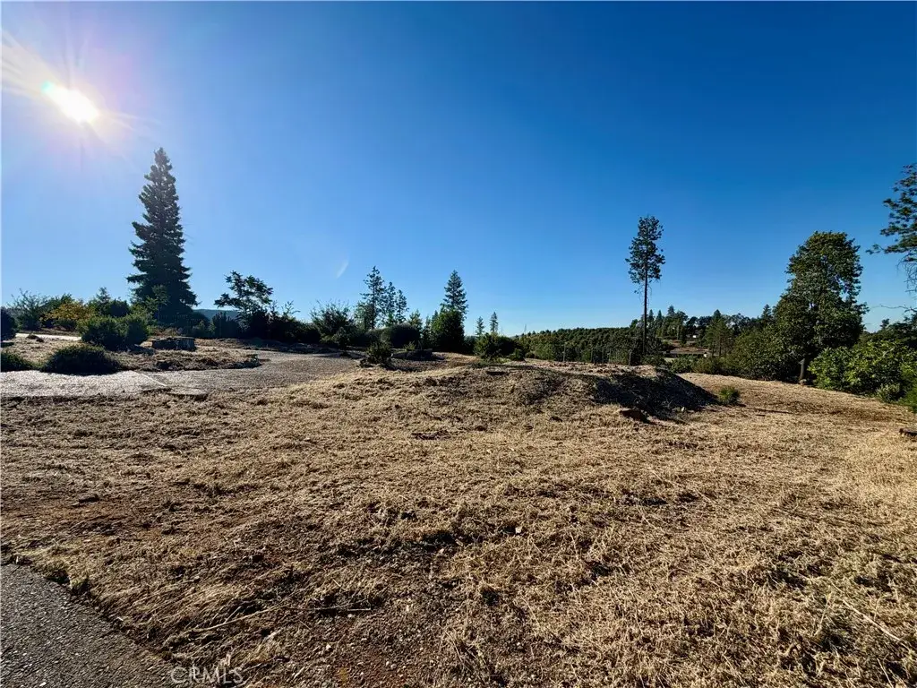 1880 Andrew, Paradise, CA 95969 - #1