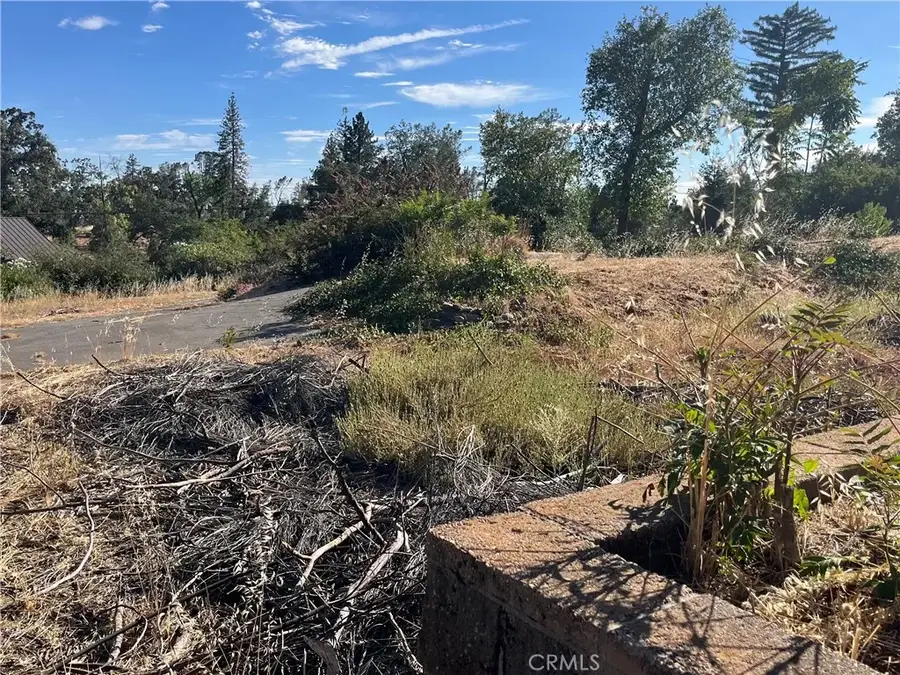 145 Roe, Paradise, CA 95969 - #2
