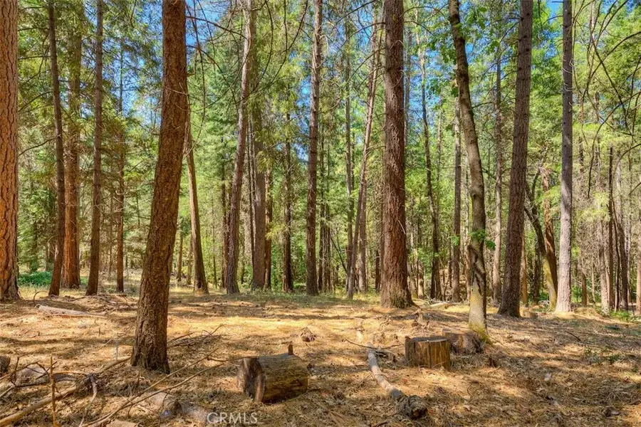 14579 Carnegie, Magalia, CA 95954 - #3