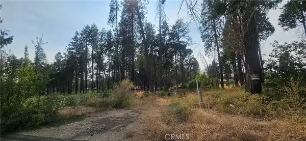 13901 W Park, Magalia, CA 95954