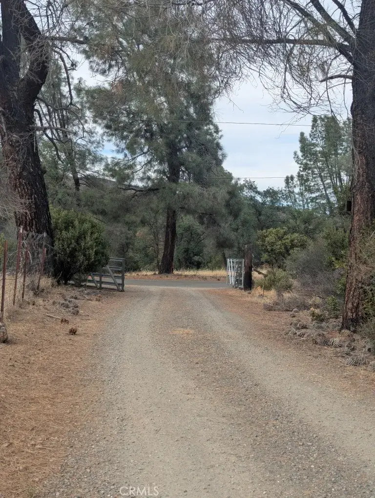 1962 Fouts Springs Road, Stonyford, CA 95979 - #2