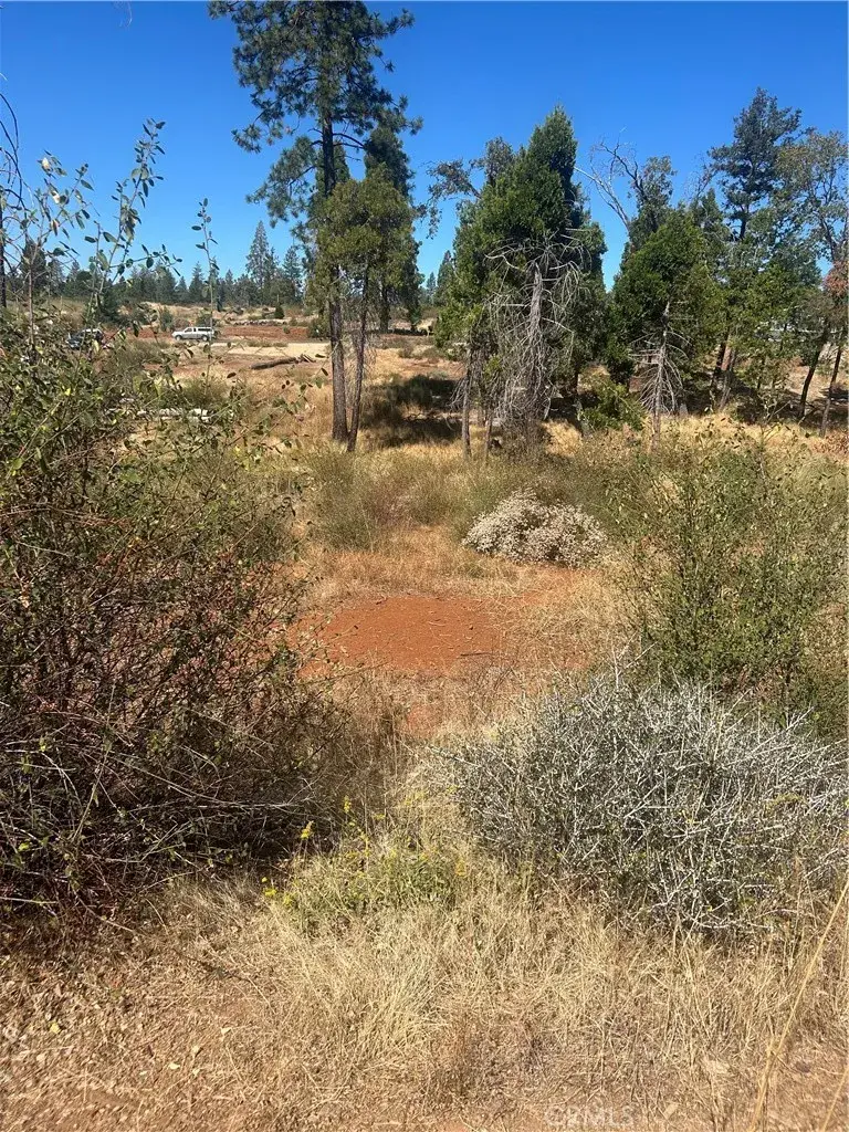 13665 Fritz, Magalia, CA 95954 - #2