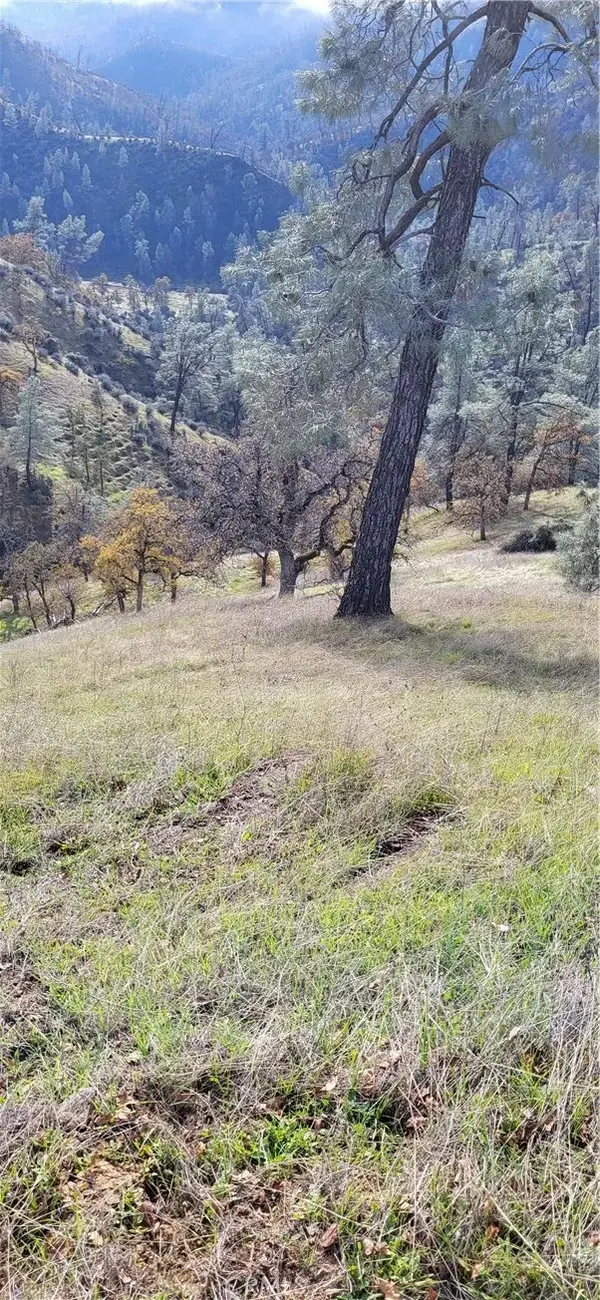 0 Cottonwood Creek, Igo, CA 96047