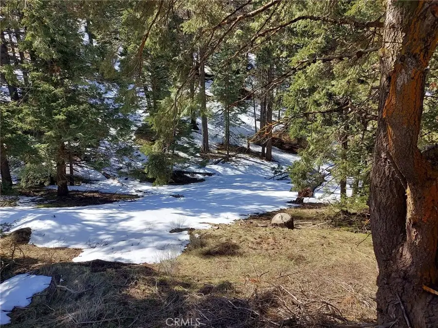 16701 Matterhorn, Alpine Forest, CA 93561 - #2