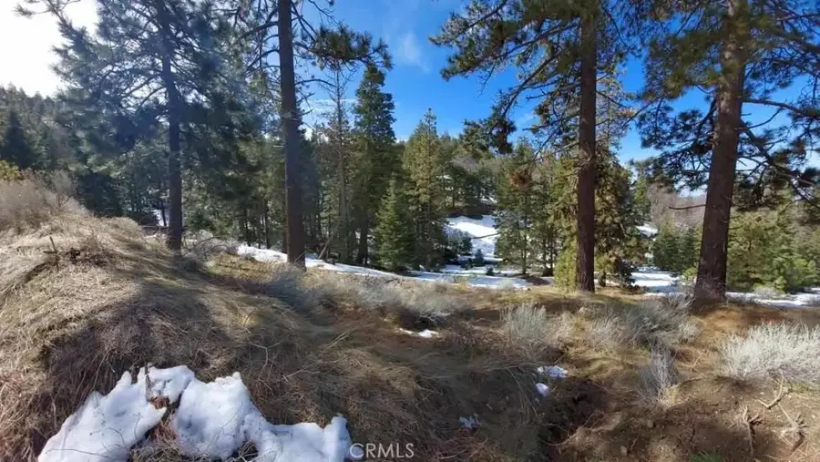 16701 Matterhorn, Alpine Forest, CA 93561 - #3