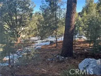 1604 Linden, Pine Mountain Club, CA 93222 - Image #2