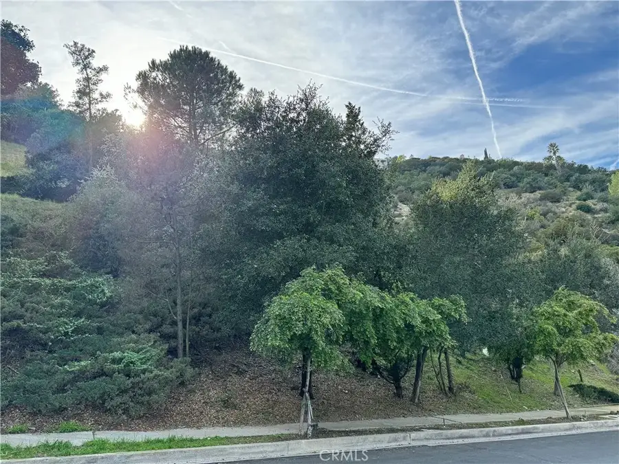 2485 Jupiter, Los Angeles, CA 90046 - Image #3