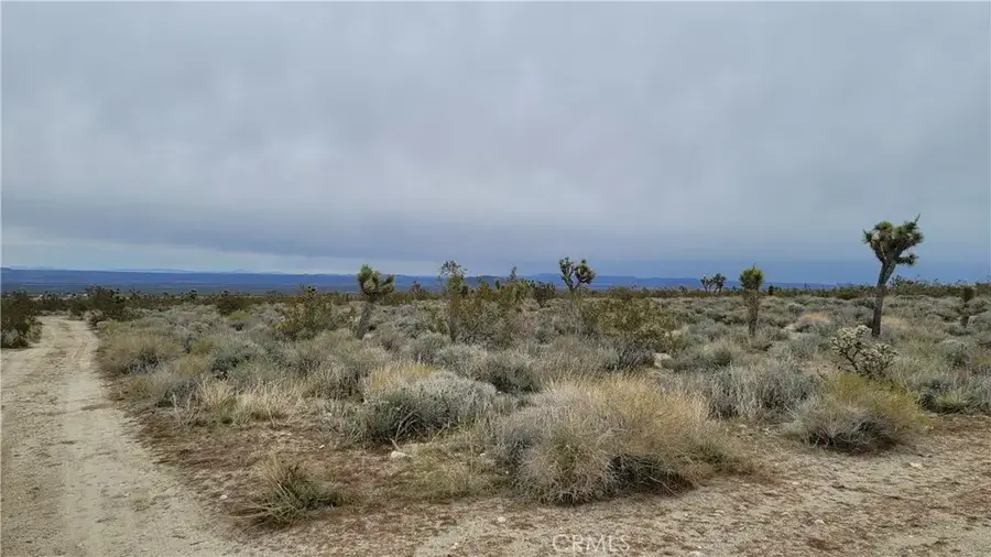 0 202nd St E & Ave X4, Llano, CA 93544 - Image #2