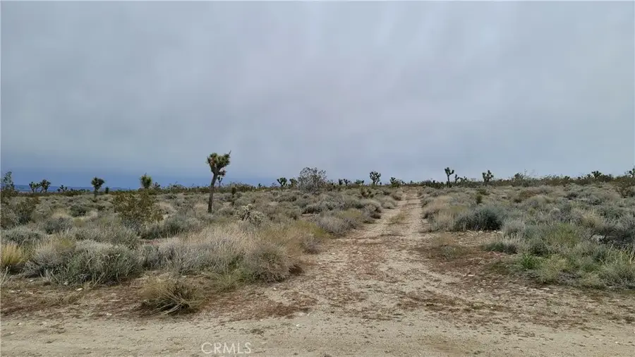 0 202nd St E & Ave X4, Llano, CA 93544 - Image #3