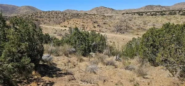 0 98th East, Juniper Hills, CA 93543