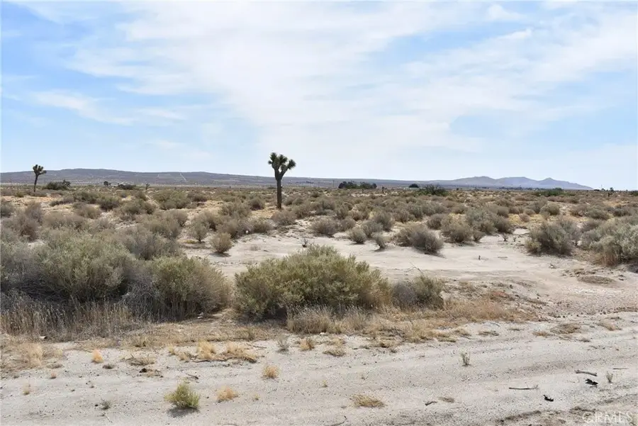 47660 120th East, Lancaster, CA 93535 - Image #3