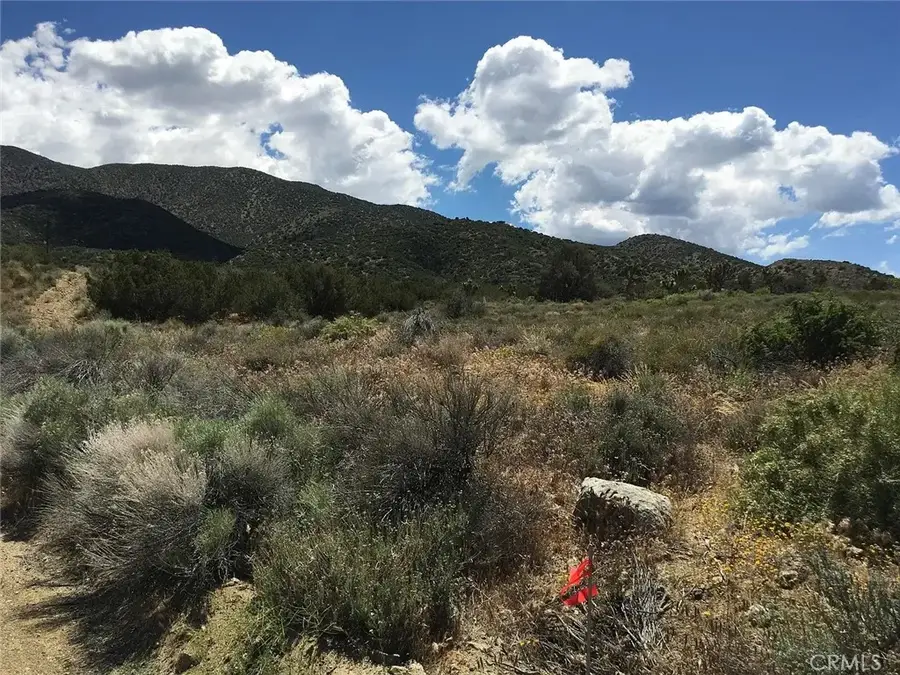 0 Tenterdon, Littlerock, CA 93543 - Image #3