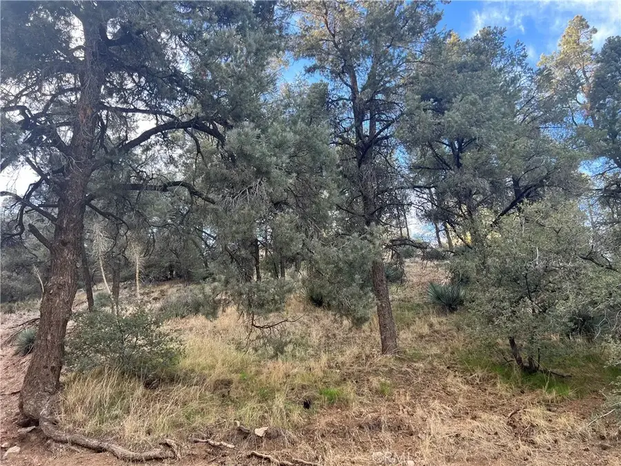 0 Encino And Truman, Frazier Park, CA 93225 - Image #2