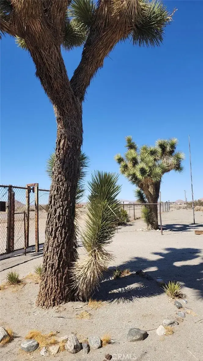 18597 Saint Basil, Adelanto, CA 92301 - Image #2